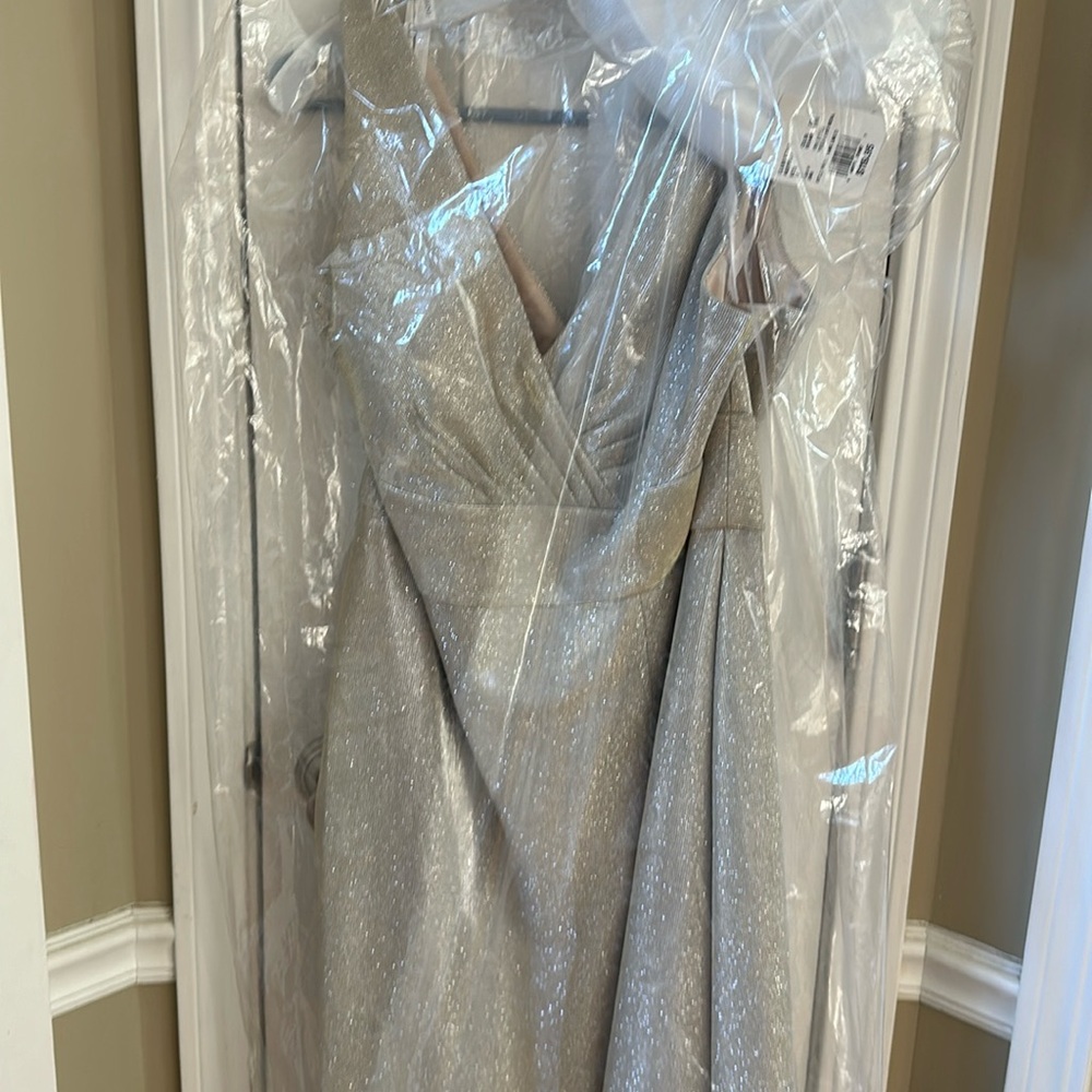 Silver sparkle dress